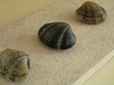 d0004651_11463282.jpg