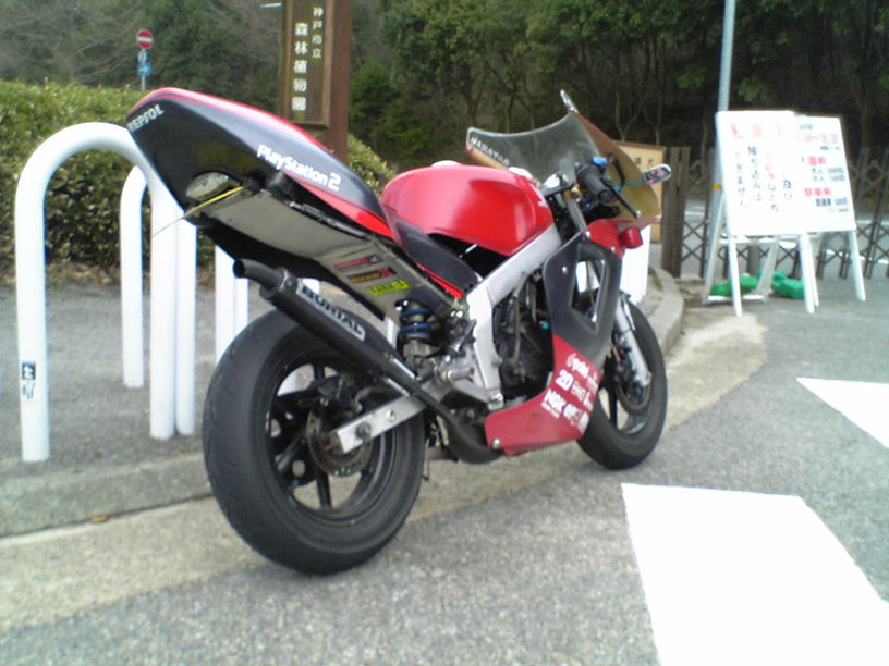 d0016365_22965.jpg
