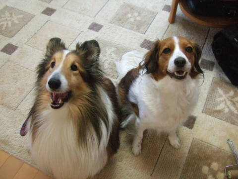 c0075585_2235965.jpg