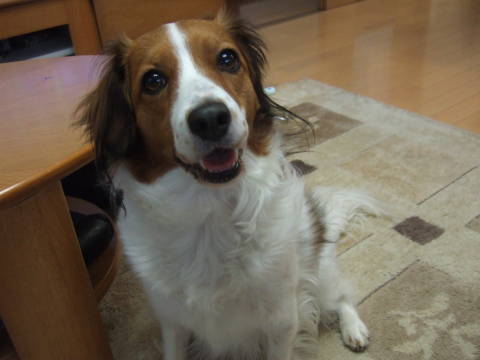 c0075585_22381284.jpg