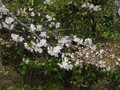 b0059686_0229.jpg