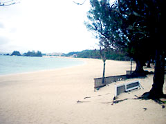 c0013092_2054543.jpg