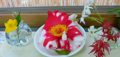 春のしつらえ_b0014003_12384777.jpg