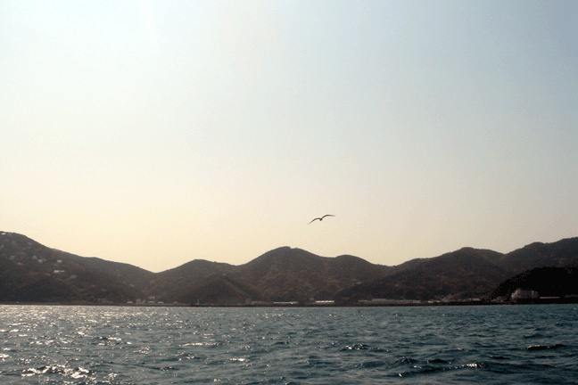 e0063003_10332128.gif