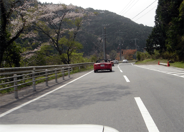e0063003_11425772.gif