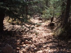 f0074904_13194363.jpg