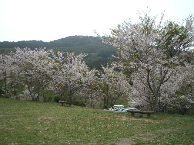 f0065006_10329.jpg
