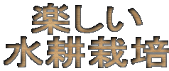 d0036708_0114038.gif