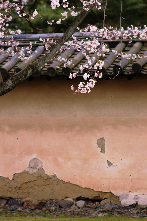 f0071708_22124745.jpg