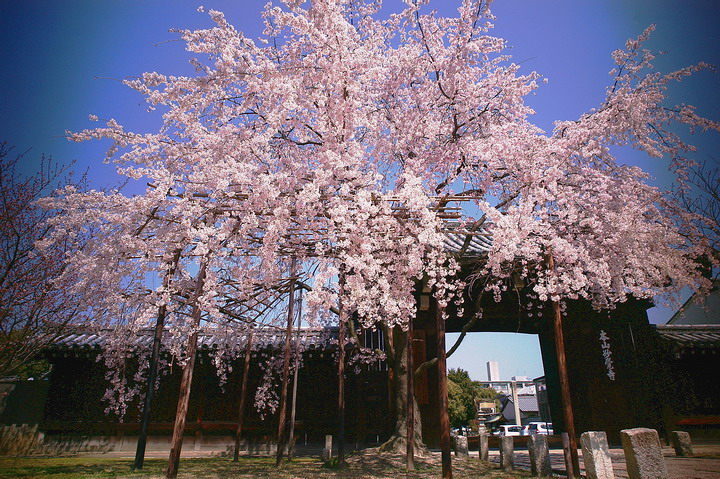 f0071708_2336337.jpg
