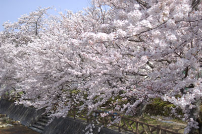 b0056924_12345768.jpg