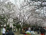 c0055324_228272.jpg