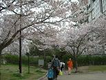 c0055324_2293075.jpg