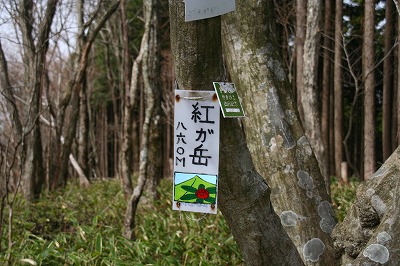 d0055236_10571561.jpg