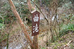 d0055236_22441391.jpg
