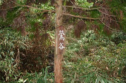 d0055236_22455763.jpg