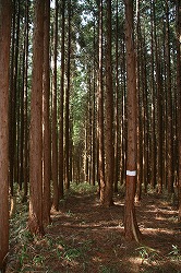 d0055236_22484274.jpg