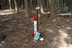 d0055236_22503951.jpg