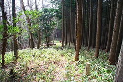 d0055236_2251444.jpg