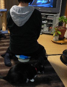 きの小いす_c0035843_1417537.jpg