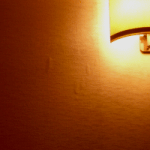 d0000247_14285438.gif