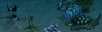e0058448_14551078.jpg