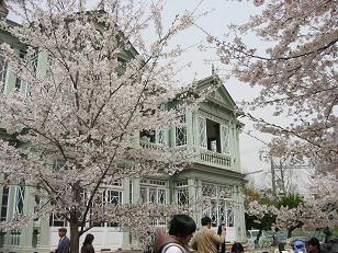 桜のなかの動物園_c0073649_16431416.jpg