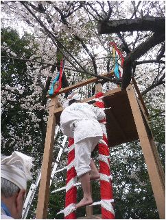 本庄普寛様の桜、火渡りの図
_a0055053_19334397.jpg