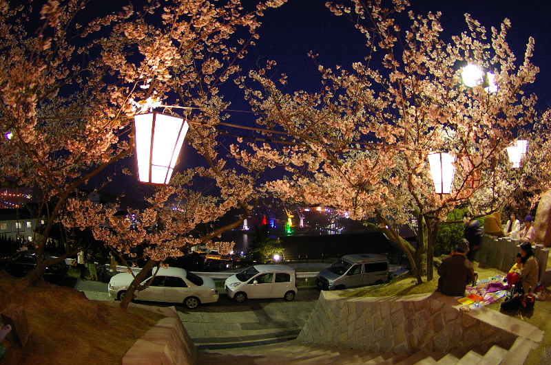 ４月８日　尾道、千光寺の夜桜_a0009554_0161561.jpg