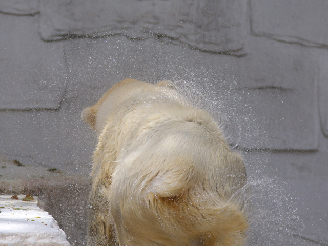 e0068257_715869.jpg