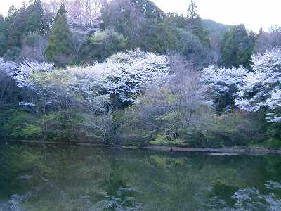 f0073059_12411964.jpg