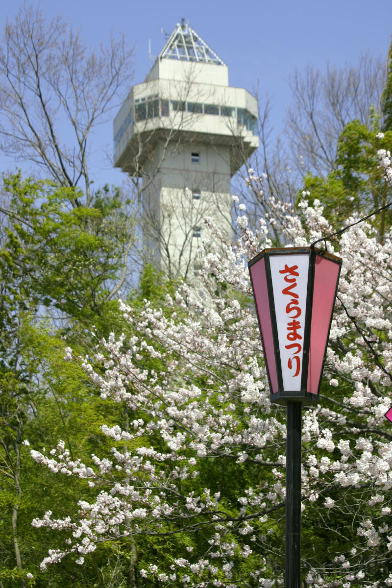 尾張旭市城山公園 さくら祭り_b0075165_1374310.jpg