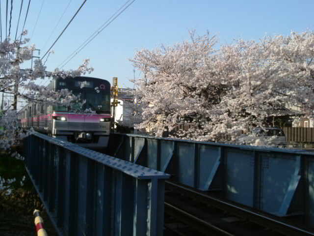f0031294_2116348.jpg