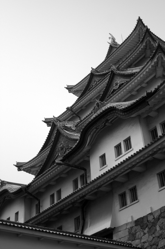 Nagoya Castle in Cherry Blossoms/2_a0031804_4562123.jpg