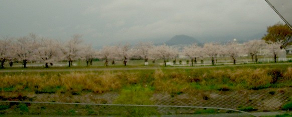 c0066514_1213643.jpg