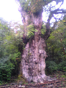 携帯で撮る!_f0100215_2152119.jpg