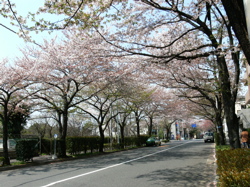 b0065730_13141743.jpg