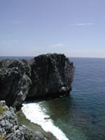 e0002951_2320539.jpg