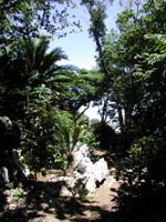 e0002951_23251213.jpg