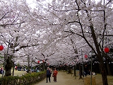 e0086368_10365373.jpg