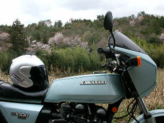 a0064474_21123928.jpg