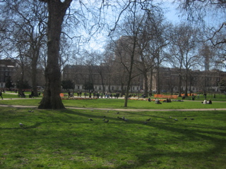 Spring_b0046388_4152875.jpg