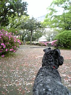 c0037701_092025.jpg