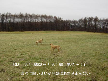 f0064906_12312664.jpg