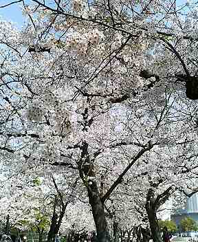 f0054610_1594961.jpg