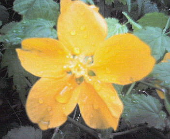 f0015614_2156650.jpg