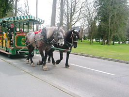 カナダ・バンクーバの旅～　　　前編_f0025622_1319458.jpg