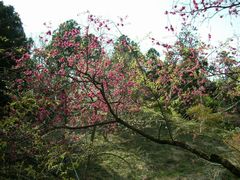 b0042334_21581626.jpg