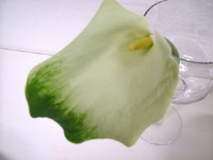 c0055343_18325270.jpg