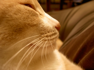 e0058443_00227.jpg